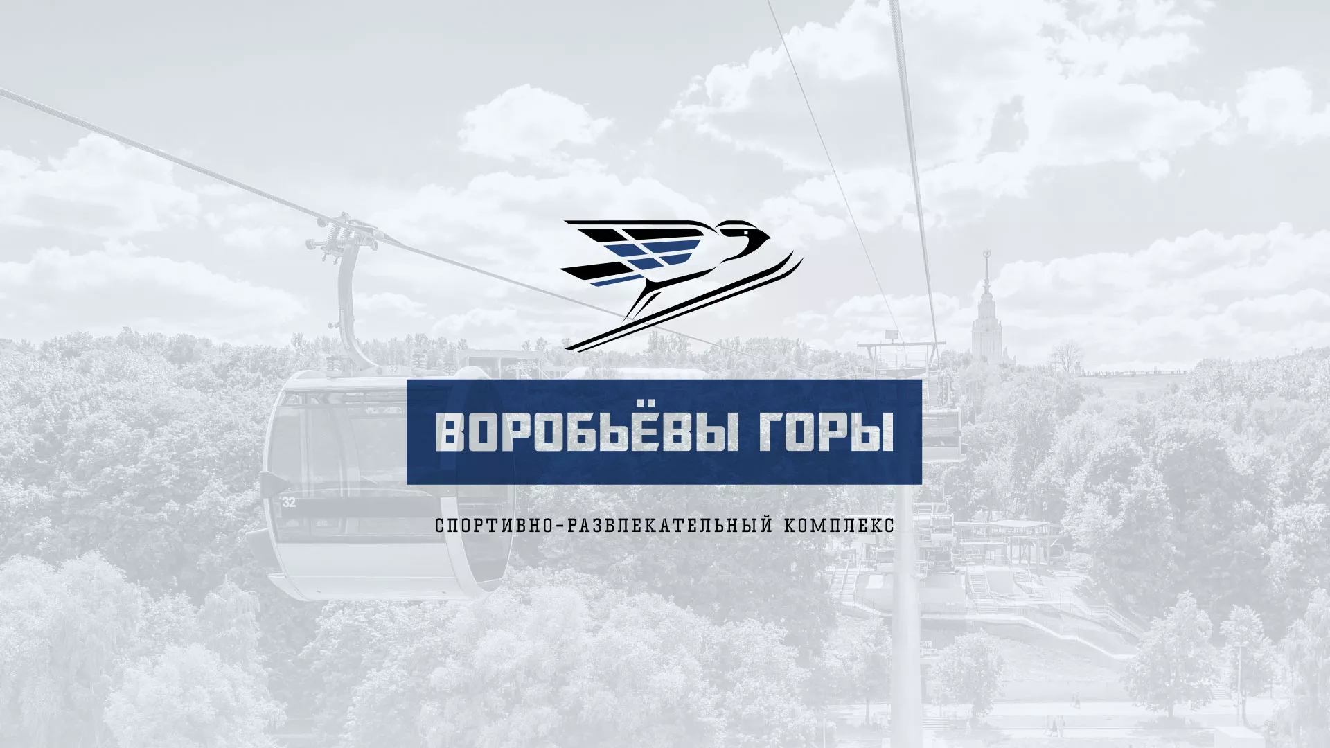 Разработка сайта в Дубне для спортивно-развлекательного комплекса «Воробьёвы горы»