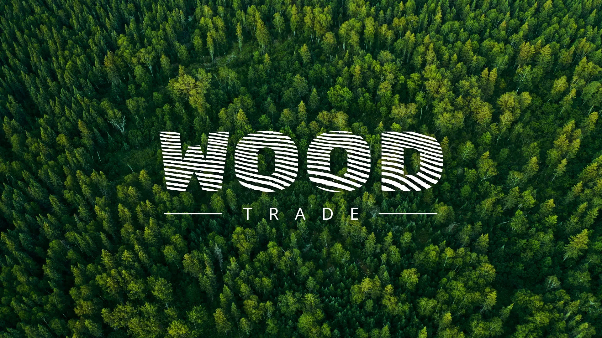Разработка интернет-магазина компании «Wood Trade» в Дубне
